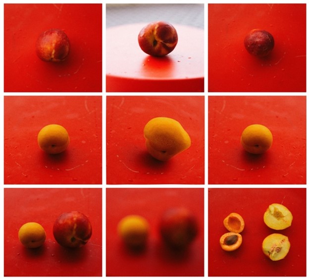 A set of nine pictures capturing one nectarine and one apricot from different angles.