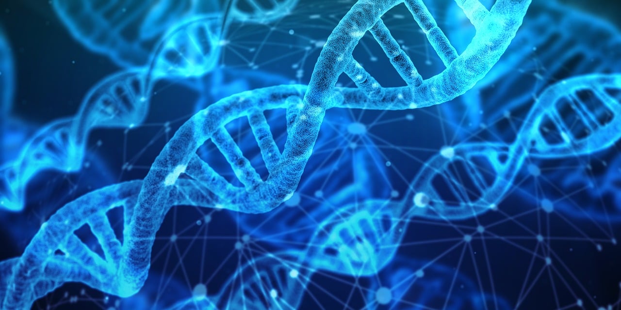 Kuvituskuvassa DNA:n analysointi.